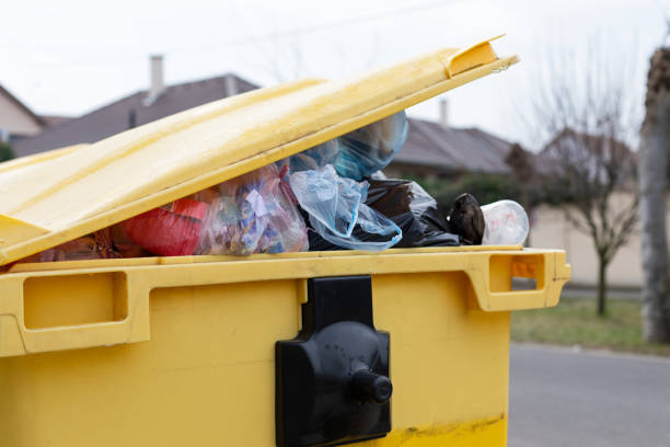 Best Basement Cleanout  in Hockessin, DE